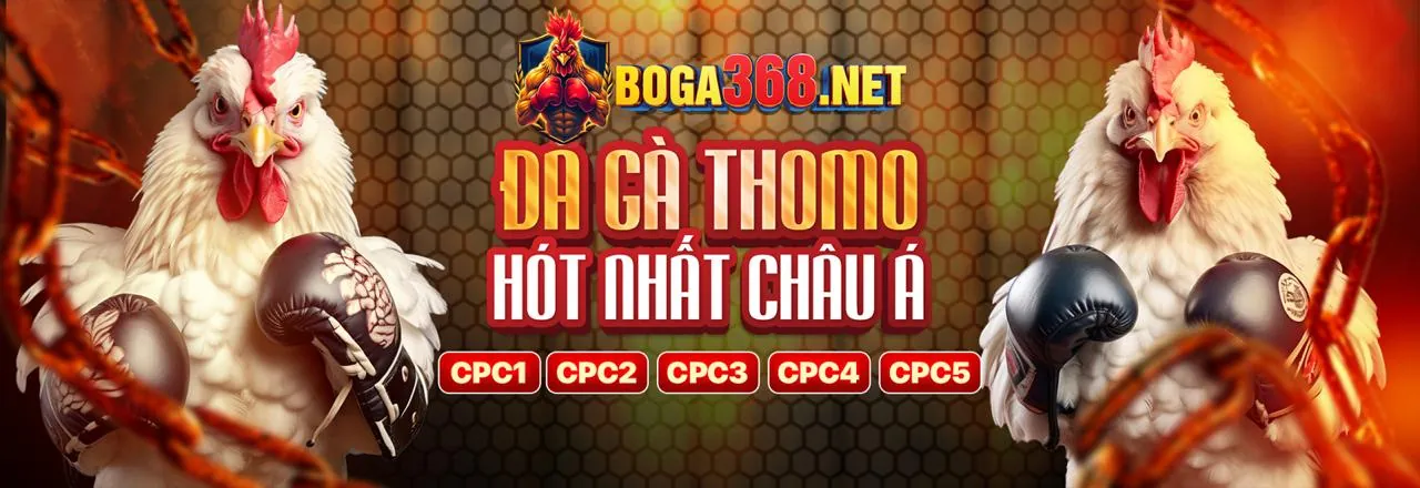 Màn hình hiển thị trận đấu thể thao trực tiếp